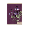 Typoflora Viola Portrait Greeting Card